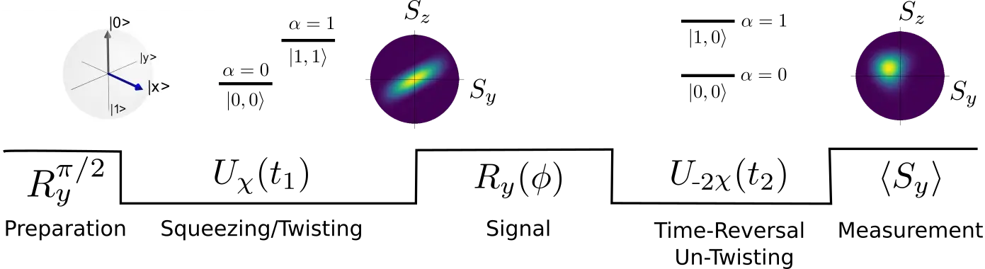 Dipolar Molecules