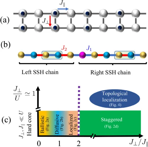Emergent Topology in Spin Ladders