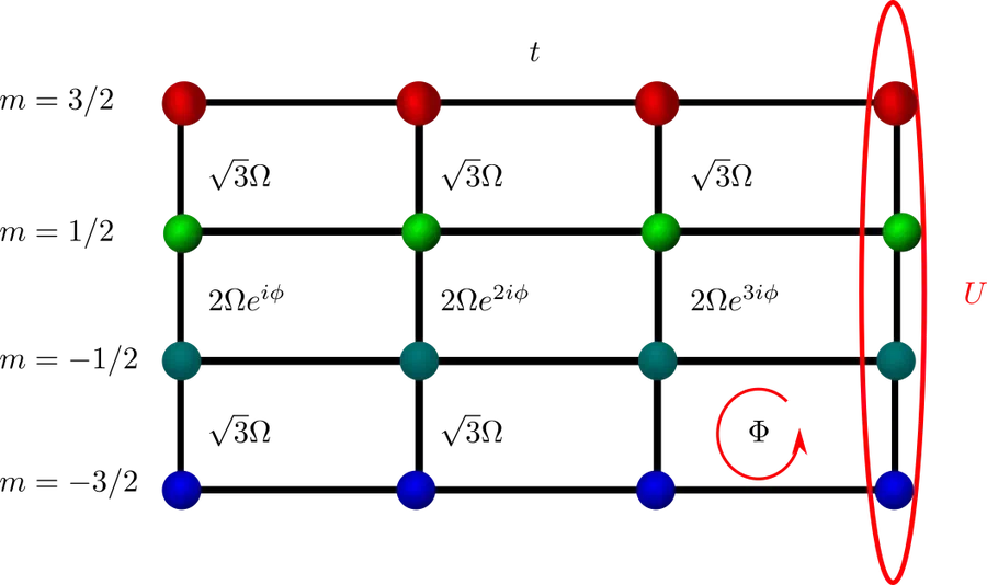 Synthetic Dimensions Model